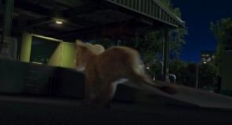 Кадр з фільму Дика природа