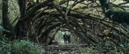 Кадр з фільму Дикун