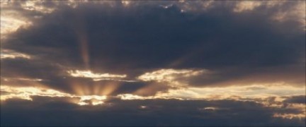 Кадр з фільму Стежки