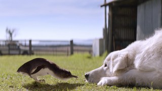 Кадр з фільму Дивак