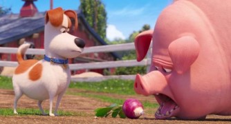 Кадр з фільму Секрети домашніх тварин 2