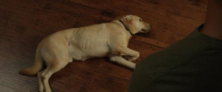 Кадр з фільму Окулус