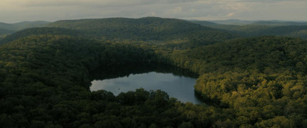 Кадр з фільму Компаньйон