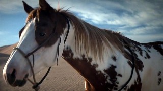 Кадр з фільму Ідальго