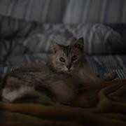 Кадр з фільму Про долю