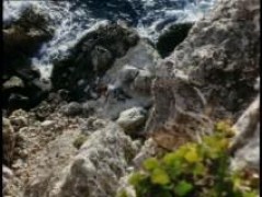 Кадр з фільму Небезпечна подорож