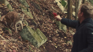 Кадр з фільму Проти природи: Подорож додому