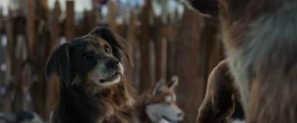 Кадр з фільму Поклик пращурів