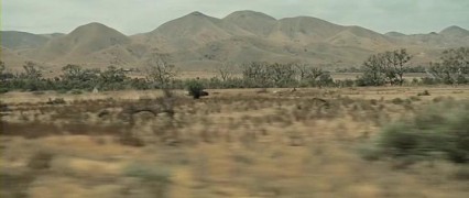 Кадр з фільму Волоцюга (Ровер)