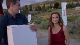 Кадр з фільму Літо на виноробні