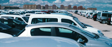 Кадр з фільму Вербо