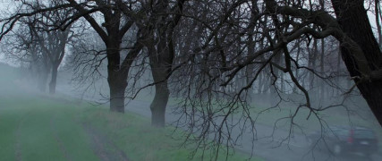 Кадр з фільму Занепалі