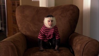 Кадр з фільму Доктор Дуліттл 5