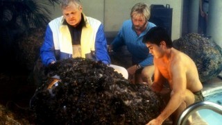 Кадр з фільму Кокон