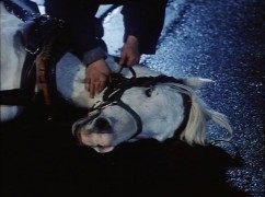 Кадр з фільму Ліквідатор