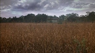 Кадр з фільму Мертві Пташки