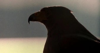 Кадр з фільму Гудзонський яструб