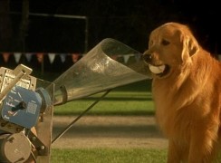 Кадр з фільму Король повітря. Сьома подача