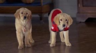 Кадр з фільму П'ятірка шукачів скарбів