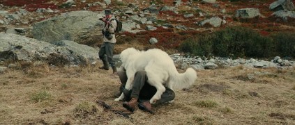 Кадр з фільму Белль і Себастьян