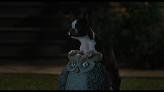 Кадр з фільму Бродяги (Кудлаті Перці)