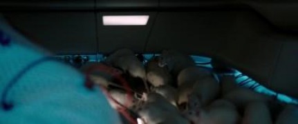 Кадр з фільму Кисень