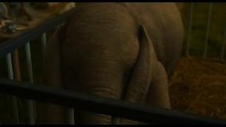 Кадр з фільму Дамбо