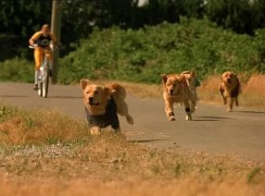 Кадр з фільму Король повітря. Сьома подача