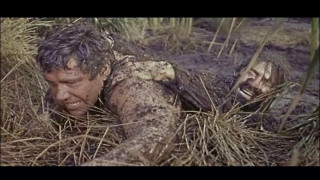 Кадр з фільму Неймовірний Тарзан