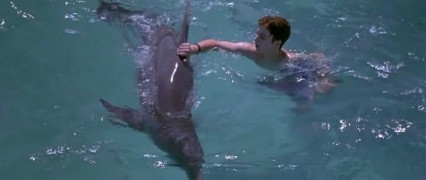 Кадр з фільму Фліппер