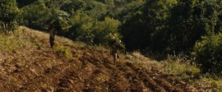 Кадр з фільму Господар джунглів