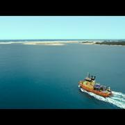 Кадр з фільму Небезпечна тварина