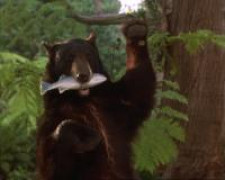 Кадр з фільму Книга джунглів: Історія Мауглі