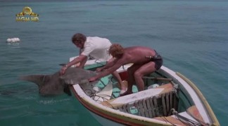 Кадр з фільму Тінторера: Тигрова акула