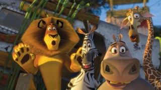 Кадр з фільму Мадагаскар 2