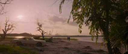 Кадр з фільму Отруйна троянда