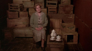 Кадр з фільму Будяк