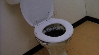 Кадр з фільму Поховані живцем