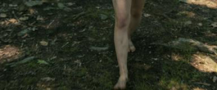 Кадр з фільму Компаньйон