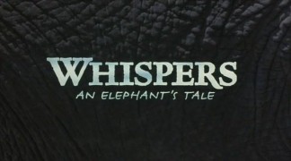 Кадр з фільму Пригоди слона