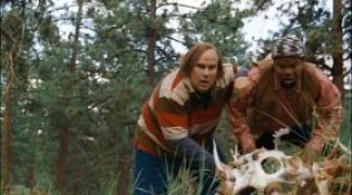 Кадр з фільму Діамантовий пес