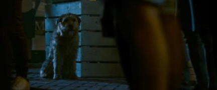 Кадр з фільму Король Артур