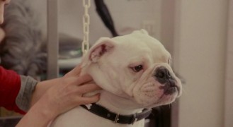 Кадр з фільму Трезор