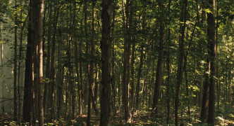 Кадр з фільму Усе буде інакше