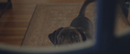 Кадр з фільму Клементина. Дівчина із раю