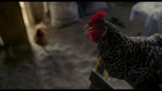 Кадр з фільму І твою маму теж