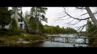 Кадр з фільму Вовк і лев