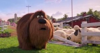 Кадр з фільму Секрети домашніх тварин 2