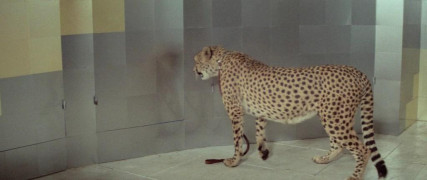 Кадр з фільму Він починає сердитися, або Гірчиця б'є в ніс