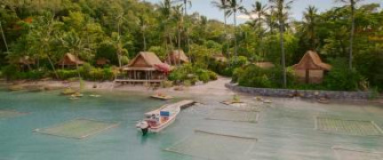 Кадр з фільму Квиток до раю